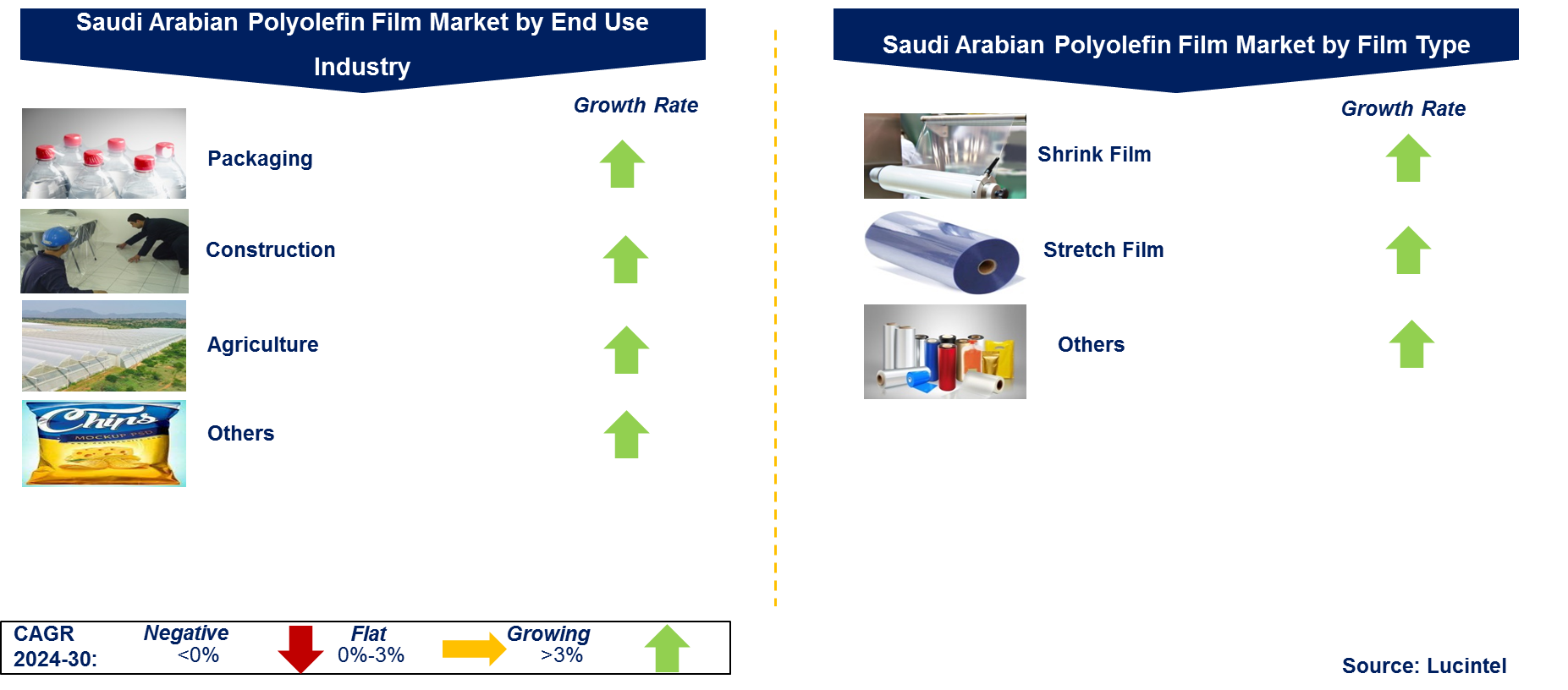 Saudi Arabian Polyolefin Film Market by Segment